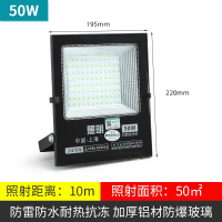 LED灯子儿 50W 220V