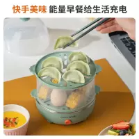 九阳(Joyoung)蒸蛋器自动断电家用小型迷你懒人早饭神器煮鸡蛋煮蛋器 ZD14-GE140(飞泉绿)