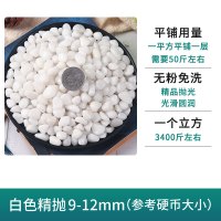 智美环球 白色鹅卵石雨花石 造景白石子 50斤白色精抛0.9-1.2CM