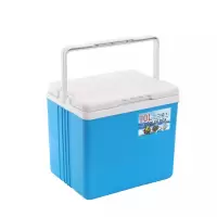 三极 TP5563 冷藏箱保温箱钓鱼箱 15L[10个冰袋1个冰板]
