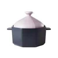菲米生活 FM-TC22814 伯爵 陶瓷养生锅 3000ml