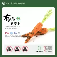 [西沛生鲜][有机蔬菜] 胡萝卜 净重3斤 无化肥 无农药 无激素 非转基因