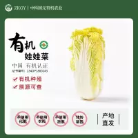 [西沛生鲜][有机蔬菜] 娃娃菜 净重4.8斤 无化肥 无农药 无激素 非转基因