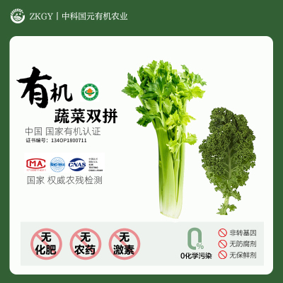[西沛生鲜][有机蔬菜] 羽衣甘蓝+西芹 净重4斤 无化肥 无农药 无激素 非转基因