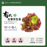 [熊猫鸟][有机蔬菜]红萝莎生菜 净重5斤 无化肥 无农药 无激素 非转基因