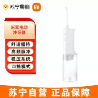 小米(MI)米家立式电动冲牙器洗牙器 高频脉冲水流 4档模式 4种专业喷嘴长续航