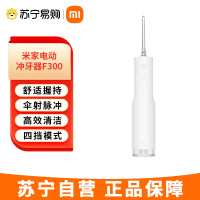 米家小米立式冲牙器洗牙器水牙线 F300 创新散射脉冲 4档模式3种喷嘴 礼物推荐