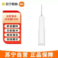 米家小米立式冲牙器洗牙器水牙线 F300 创新散射脉冲 4档模式3种喷嘴 礼物推荐