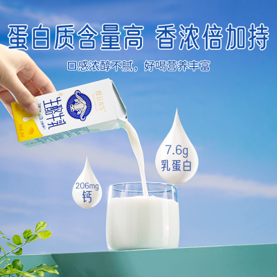 皇氏乳业来思尔摩菲水牛生酪牛乳206g*10盒 大理风味 儿童早餐奶 有奶酪才好喝