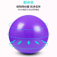 三极 TP1513 瑜伽球普拉提球平衡球 直径85cm/1000g