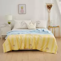 恒源祥 双拼暖呼呼*夏被150*200cm-HYX158DZ