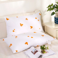 迪士尼(DISNEY) 五星级安睡枕(对装)(单位:对)