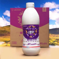 唯怡大瓶豆奶植物蛋白饮料坚果饮品1.45L/瓶 9瓶/箱