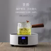 荣事达(Royalstar)迷你电陶炉泡茶煮茶器养生茶炉 DTL13K
