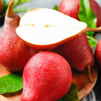 托盘装[西沛生鲜]陕西红啤梨净重4.5斤当季水果梨子新鲜红皮彩虹香软糯梨太婆啤酒梨整箱