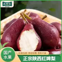 托盘装[苏鲜生]陕西红啤梨净重4.5斤当季水果梨子新鲜红皮彩虹香软糯梨太婆啤酒梨整箱