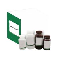 8%PAGE预混胶试剂盒