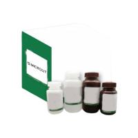 15%PAGE预混胶试剂盒