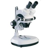体视显微镜