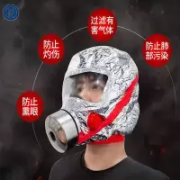 防护式呼吸器FH30