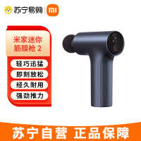 米家mini筋膜枪 2 小米筋膜枪肌肉按摩器迷你按摩枪深层按摩仪 金属灰