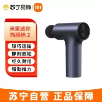 米家mini筋膜枪 2 小米筋膜枪肌肉按摩器迷你按摩枪深层按摩仪 金属灰