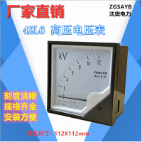 ZGSAYB 沈奥 42L6 10KV/100V 指针式 交流 高压 电压表