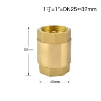 汇特益 DN25 1寸立式黄铜止回阀 3个/组(单位:组)