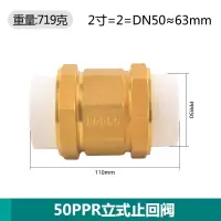 艾克心 PPR50 2寸立式黄铜止回阀 2个/组(单位:组)