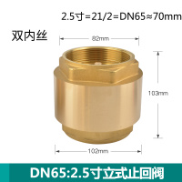 汇特益 DN65 2.5寸立式黄铜止回阀(单位:个)