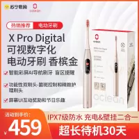 欧可林 Oclean X Pro Digital可视数字化电动牙刷 香槟金