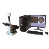 金相图像自动分析系统