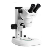体视显微镜
