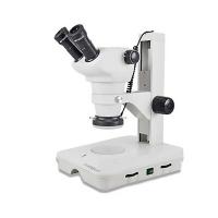 体视显微镜
