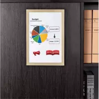 得力 DELI 50871 A4磁性展示贴 金色的