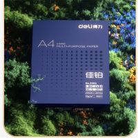 得力(deli) 佳铂A4打印纸 70g克500张*8包 1箱