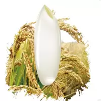 清香米5kg