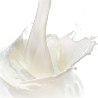 纯牛奶250ml*12盒