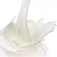 纯牛奶250ml*12盒
