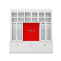 汉诺鑫威荣誉室文化墙设施定制书柜3290*500*3420