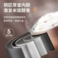 九阳 电饭煲F40FZ-F339