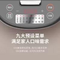 九阳 电饭煲F30FZ-F430