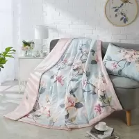 伊伊爱 ZB2000180 全棉印花夏季被子双人空调被 200*230cm随机色(单位:条)