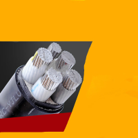 桂林国际铝芯电缆线YJLV 4*185+1*95mm² 单位:1米