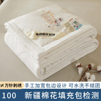 全棉水洗棉夏凉被空调被芯可机双人学生宿舍春秋薄款棉花被子