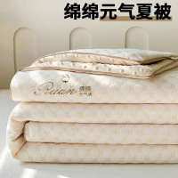 夏季被子被芯空调被单人夏凉被学生宿舍凉感夏被薄棉被可机洗