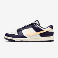 耐克NIKE DUNK LOW RETRO 男子运动鞋