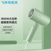 飞科(FLYCO) 电吹风-FH6296