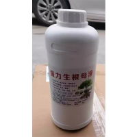 Geeto强力生根母液生根壮苗剂99%含量1000G