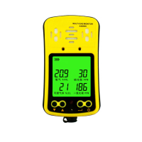 美瑞欧 气体检测仪 AS8900(单位:个)